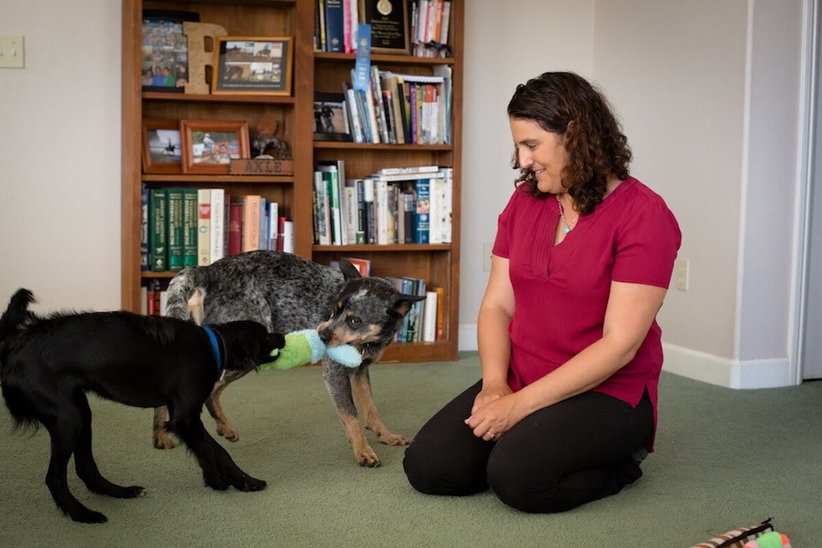 Is ADAPTIL Safe to Use For Puppies?